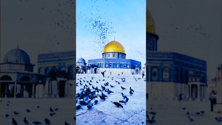 Masjid e Aqsa ko hain phir se #naat #live #islamic #status #trending #viral #palestine #video #short